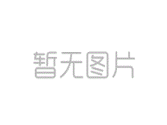 軟件成本度量標(biāo)準(zhǔn)實(shí)施指南 前言